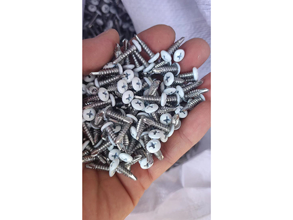 头部烤漆钻尾螺钉