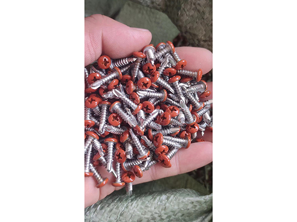 头部烤漆钻尾螺钉